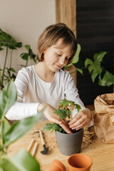 Young gardener. A cute little girl is planting or transplanting plants in a flower pot at home. Hobby for children and parents. little helper. 