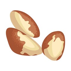 delicious fried nut. Vector illustration of food. Cartoon almond, hazelnut, pistachio, macadamia, pecan, peanut isolated on white