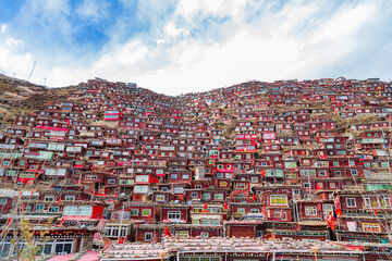 Sichuan Seda Wuming Buddhist College - obrazy, fototapety, plakaty