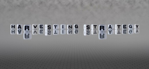 harvesting strategy word or concept represented by black and white letter cubes on a grey horizon...