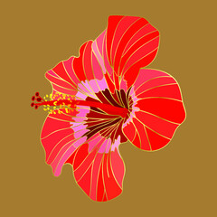 Red hibiscus isolated on beige background. Single floral pattern, Golden split floral leaf, golden lines, Vector illustration.