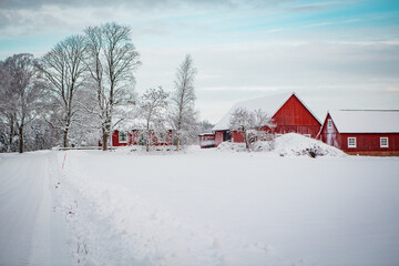 Red house in winter landscape in Sweden