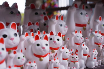 豪徳寺の招き猫