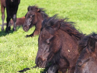 Ruta al faro de Gorliz, desde la playa y entre preciosos acantilados. Espa&ntilde;a.