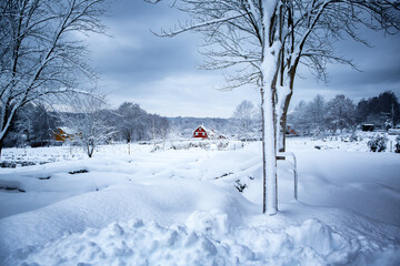 Small red house in Swedish winter landscape - Powered by Adobe