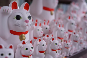 豪徳寺の招き猫