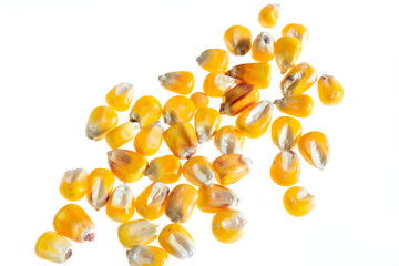 corn grains on a white isolated background