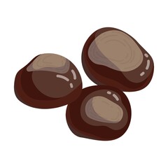 Raw nut, edible chestnut. Vector illustration of food. Cartoon almond, hazelnut, pistachio, macadamia, pecan, peanut isolated on white