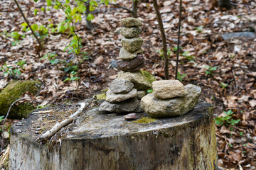 Obraz premium stones in the forest