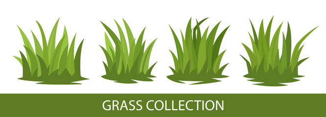 Green grass collection - obrazy, fototapety, plakaty