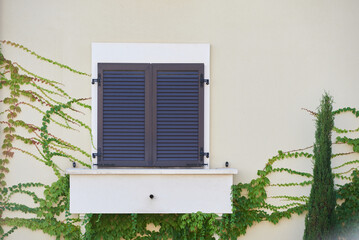 House window with closed shutters
