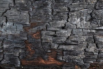 The texture of a wooden beam after a fire