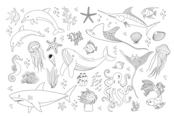 Set with hand drawn sea life elements. Vector outline collection of ocean objects. Beautiful underwater world in line style. Fish, shark, octopus, dolphin, shell and coral isolated on white background