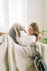 Young girl enjoy playing with  two cats on sofa, holding one happy soft cuddly white cat and another tabby cat at home warm and cozy minimal atmosphere