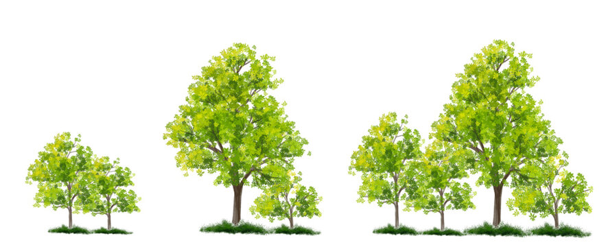 Vector green tree side view isolated on white background for landscape and architecture drawing, elements for environment and garden