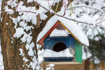 Birdhouse covered with snow. Tree covered with snow.