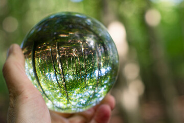 Focus on taking care of nature and the climate shown with nature encased in a crystal ball