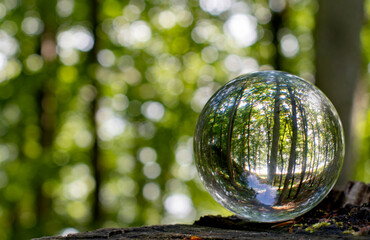 Focus on taking care of nature and the climate shown with nature encased in a crystal ball