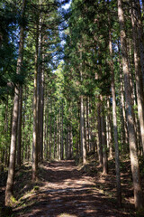 日本の岡山県津山市の天狗岩への登山風景