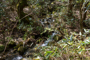 日本の岡山県津山市の天狗岩への登山風景