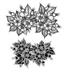 Vector illustration. Rosehip flowers, line art style, Handmade, card for you