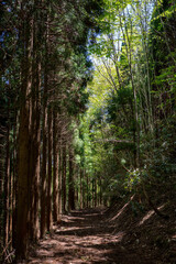 日本の岡山県津山市の天狗岩への登山風景