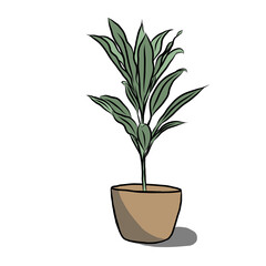 Small plant in the pot.Hand drawn.Creative with illustration in flat design.