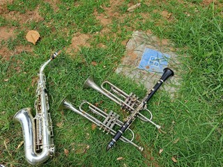 trumpet on green grass