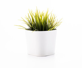 Artificial plant on white pot