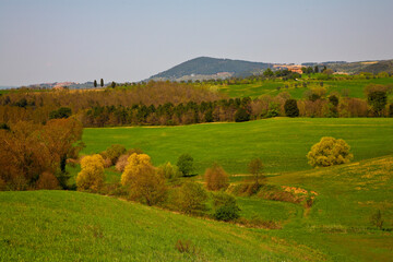 Fototapeta premium Val,d'Orcia,italy, siena, panorami