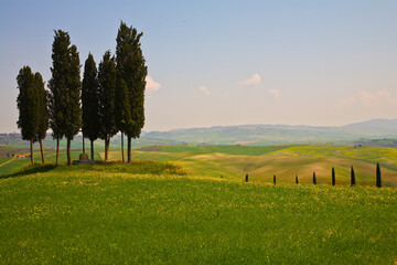 Fototapeta premium Val,d'Orcia,italy, siena, panorami
