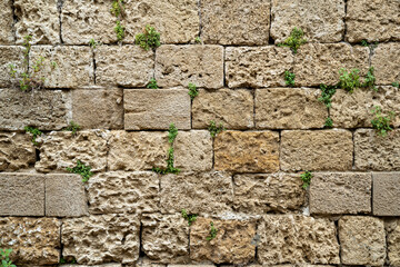 stone wall background close up