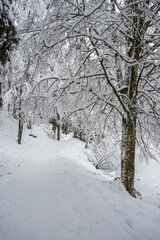 Fototapeta premium Winter on Lake Fusine. After a heavy snowfall.