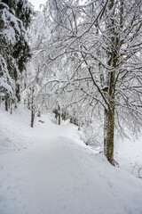 Winter on Lake Fusine. After a heavy snowfall.