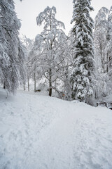 Fototapeta premium Winter on Lake Fusine. After a heavy snowfall.