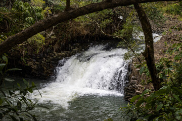 Waterfall in the forest.