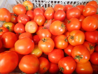 Fototapeta na wymiar Fresh red mini tomatoes at the traditional market