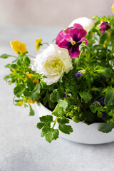 White round vase with spring and summer flowers Ranunculus and Muscari, Petunias and Pansies in the ground on a gray background, home decoration with flowers