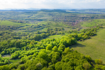 Fototapeta na wymiar Aerial view of vibrant green pasture and forest in the spring
