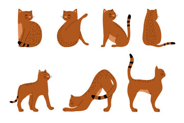 Isolated hand-drawn vector illustrations of cat in different poses. Сat with brown striped fur.