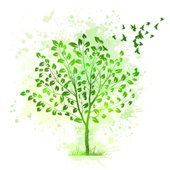 Green beautiful tree with flying birds. Vector silhouette of a tree.