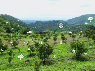 Net Zero - Icon with Net Zero on an orange orchard. Net Zero and Carbon Neutral concept. Net zero...