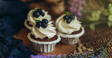 chocolate cupcakes with blueberries on a dark background close-up