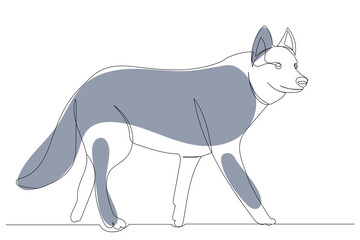 wolf drawing in one continuous line, isolated, vector
