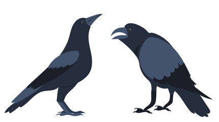 crow flat design ,on white background isolated, vector