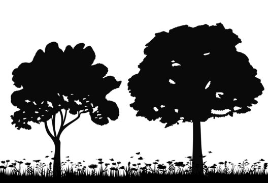 trees silhouette, on white background, isolated, vector