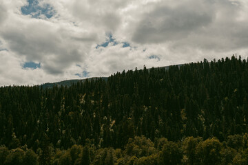 clouds over the forest
