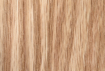 Beech tree texture with vertical fiber