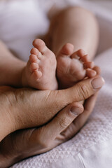 newborn baby feet on mom and dad hands. happy family concept