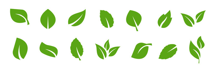 Collection of green leafs. Vector illustration. EPS 10